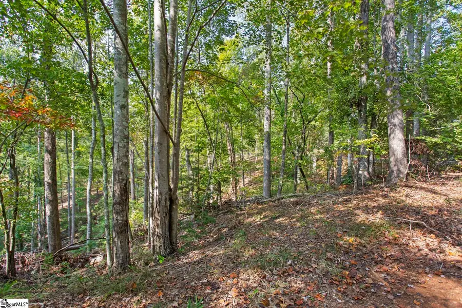 142 Summit Pine, Sunset, SC 29685 - #2