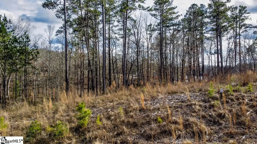 0 Lot 22 Waterside Point, Abbeville, SC 29620 - #1