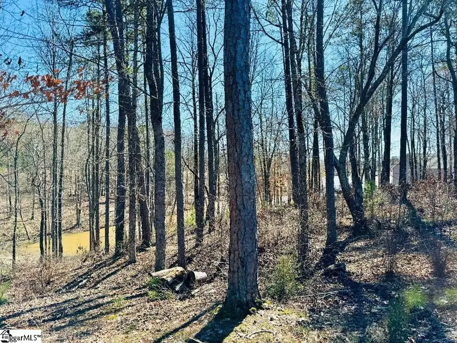 0 Lot 22 Waterside Point, Abbeville, SC 29620 - #3