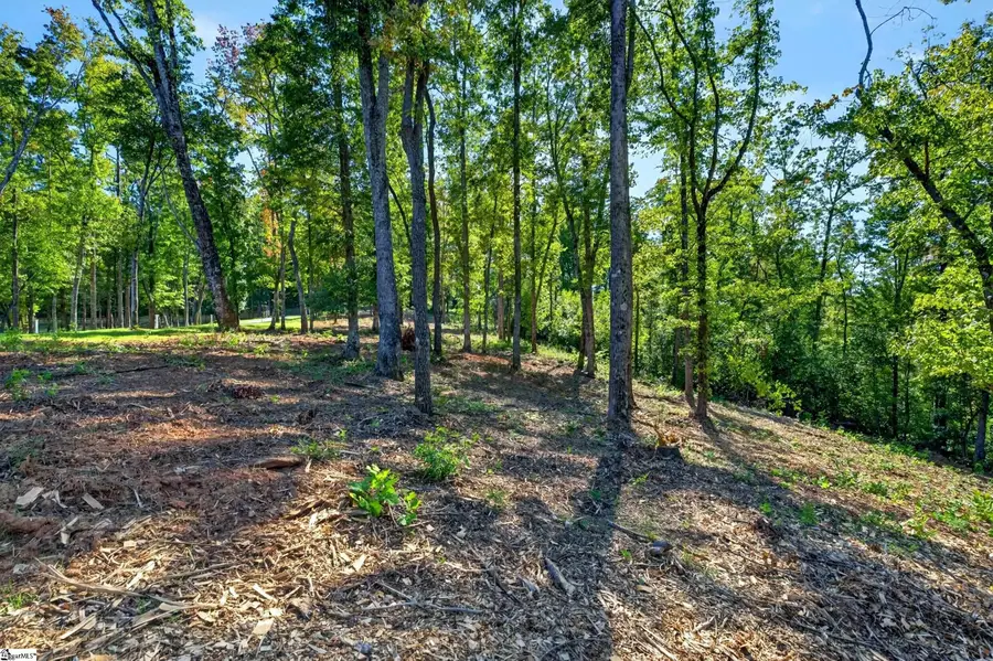 530 Chinquapin Road #Lots 3 & 4, Travelers Rest, SC 29690 - #3
