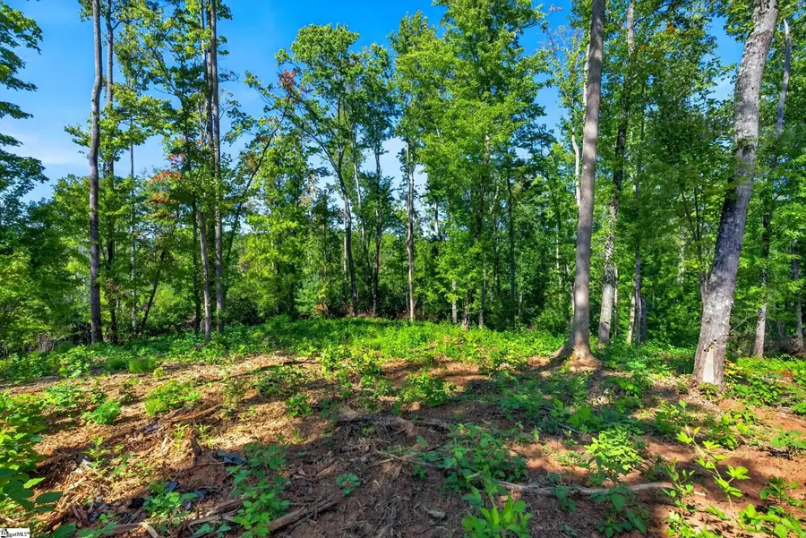 540 Chinquapin Road #Lot 5, Travelers Rest, SC 29690 - #3