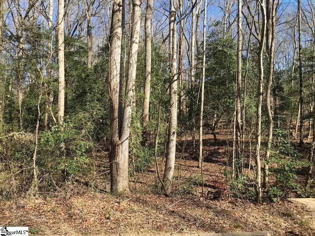 130 Bismark Drive, Pelzer, SC 29669 - #1