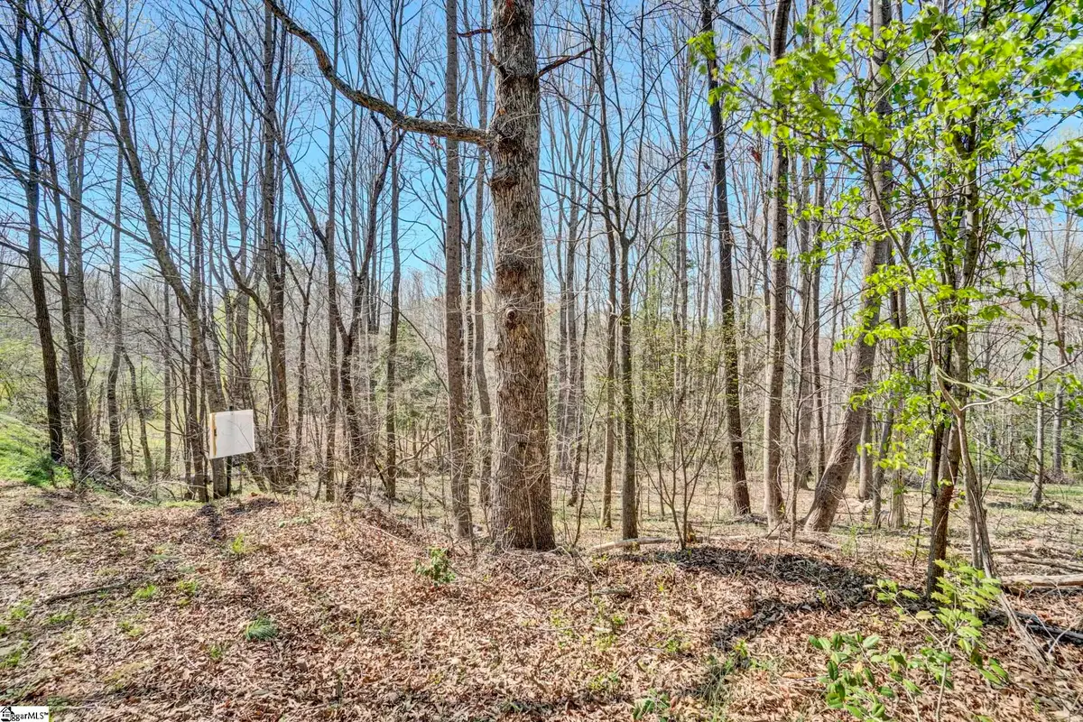 404 Thornbury Ridge, Easley, SC 29640 - #1