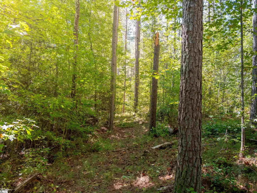 03 Oak Hill Road, Belton, SC 29627 - #2