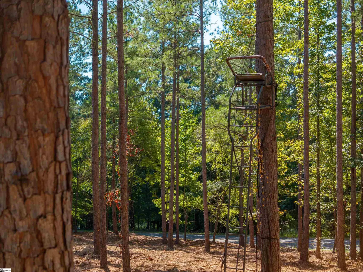 04 Oak Hill Road, Belton, SC 29627 - #1