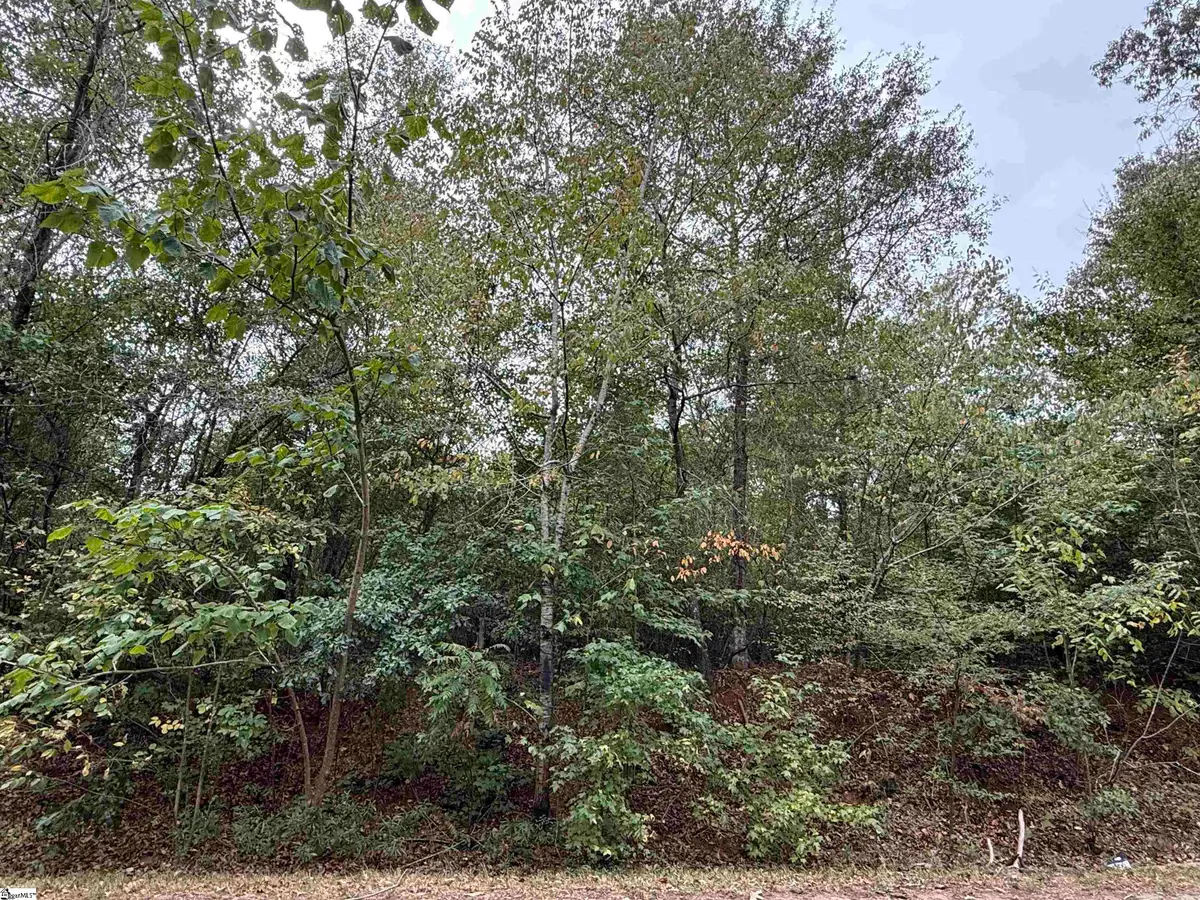 720 Holland Ford Road, Pelzer, SC 29669 - #1