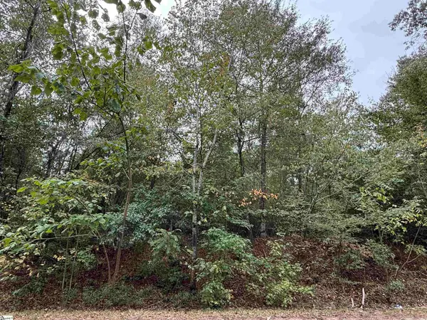 720 Holland Ford Road, Pelzer, SC 29669