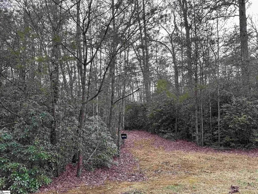 105 Valley Lake Trail, Travelers Rest, SC 29690 - #3