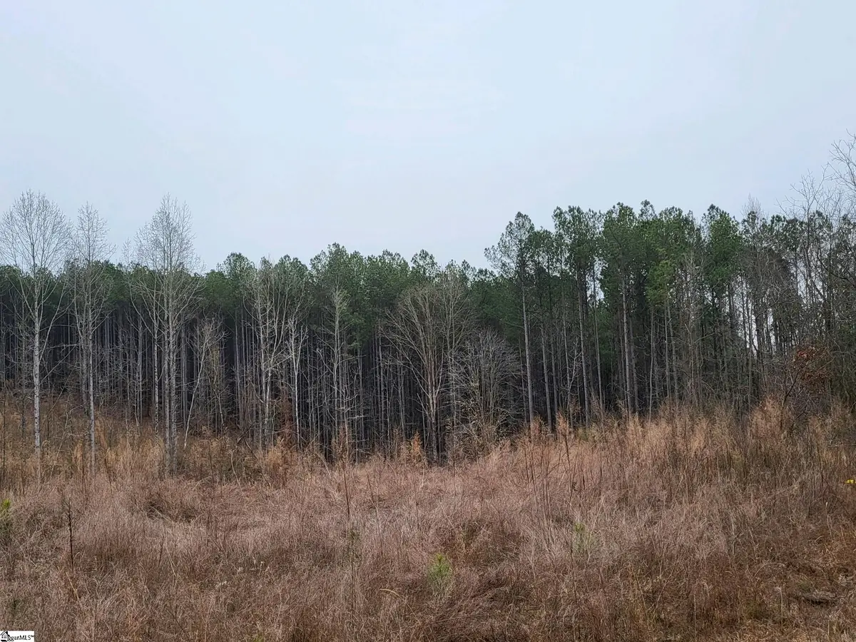 461 Cowford Bridge Road, Spartanburg, SC 29302 - #1