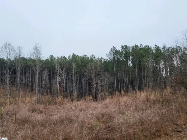 461 Cowford Bridge Road, Spartanburg, SC 29302