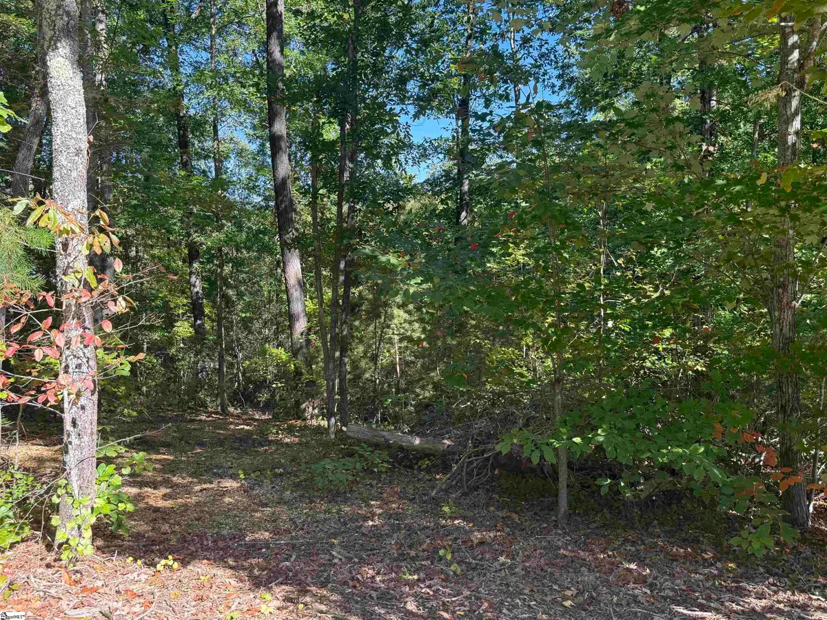 500 Augusta Links Trail, Travelers Rest, SC 29690 - #1
