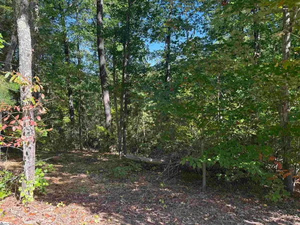 500 Augusta Links Trail, Travelers Rest, SC 29690