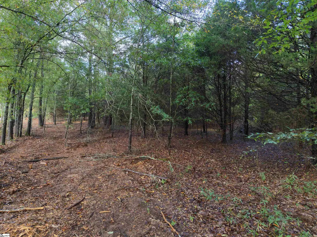 02 Owens Drive, Laurens, SC 29360 - #1