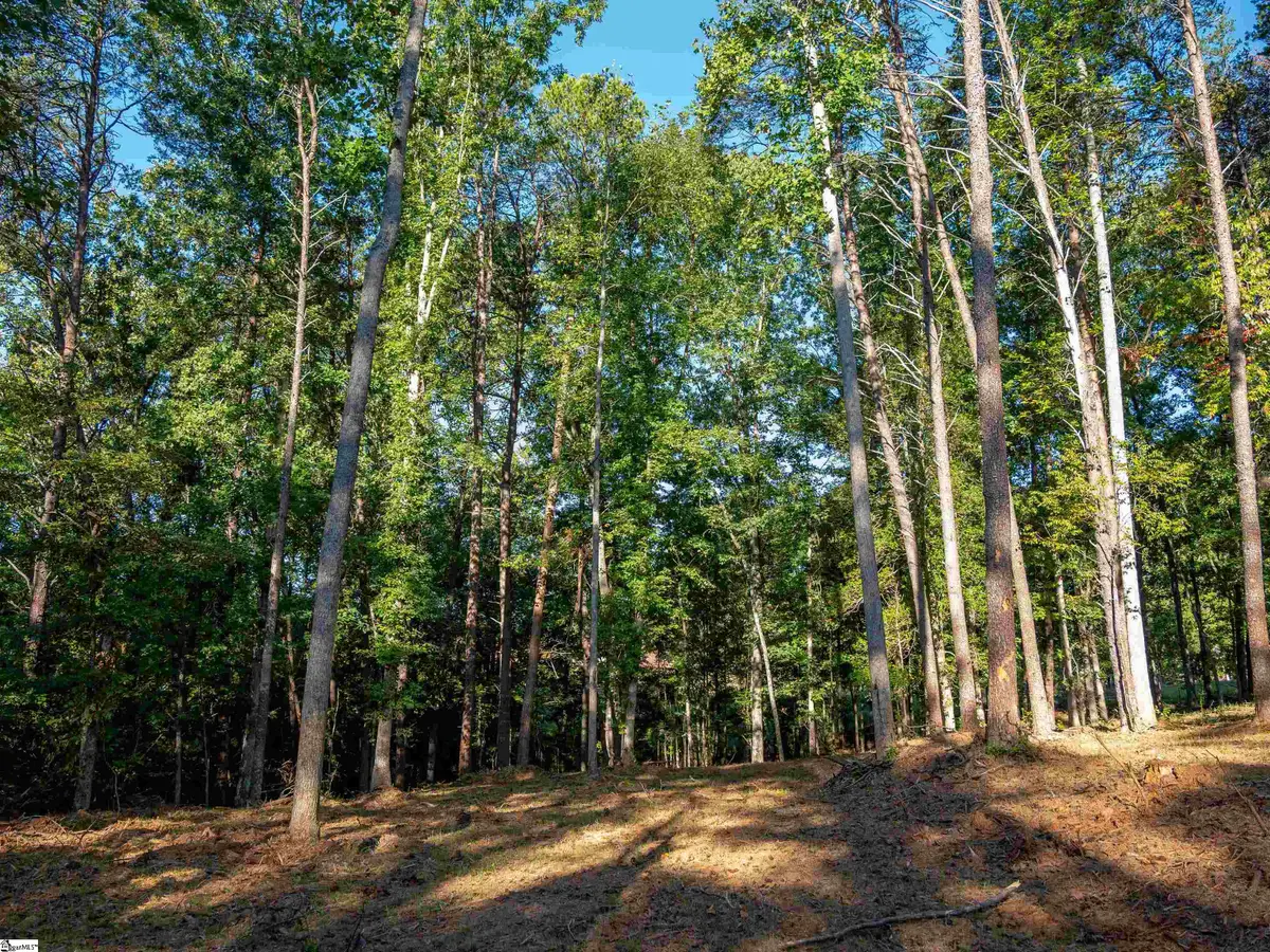 0 Woodall Road #Lot A, Greenville, SC 29617 - #1