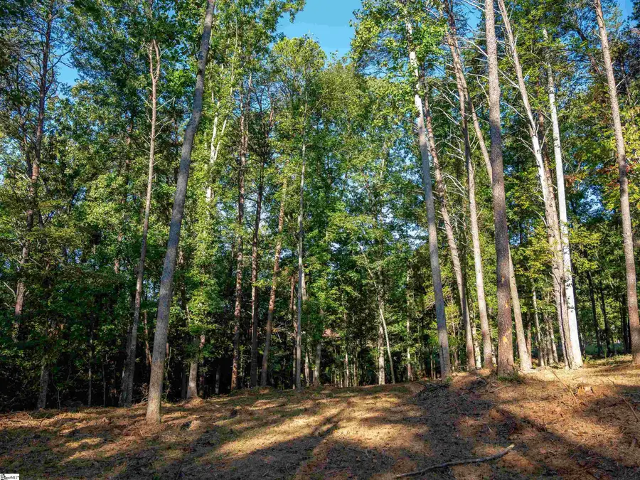0 Woodall Road #Lot A, Greenville, SC 29617 - #2