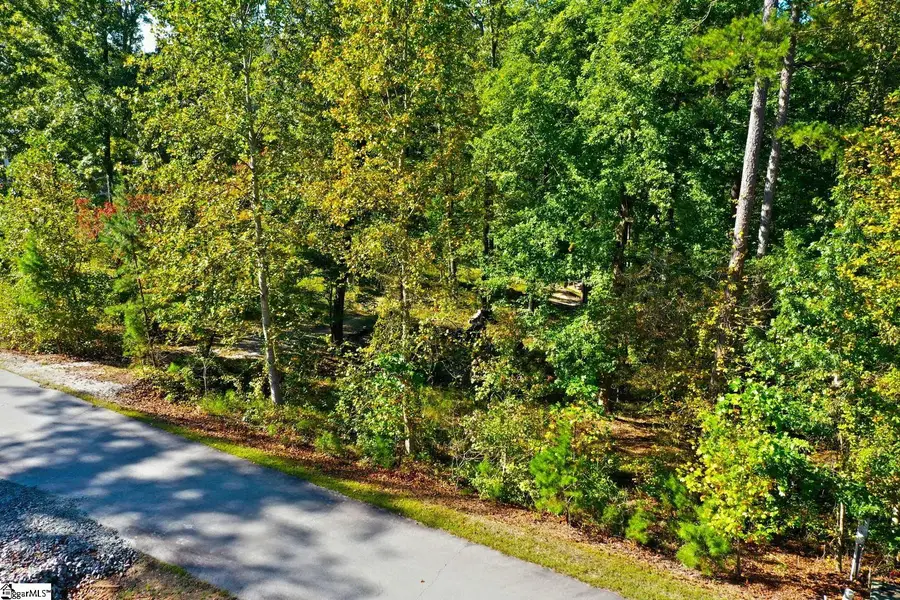 20 Towson Trail, West Union, SC 29696 - #3
