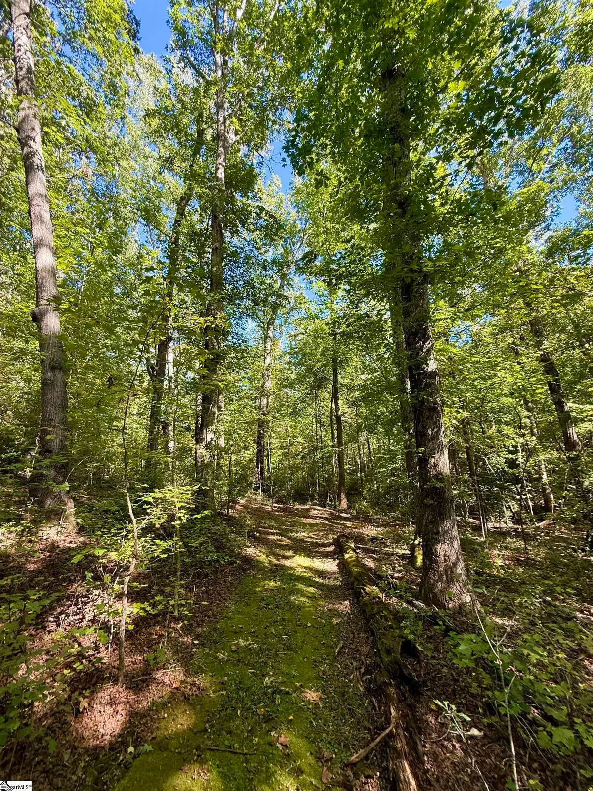 1100 Tugaloo Road, Landrum, SC 29356 - #1