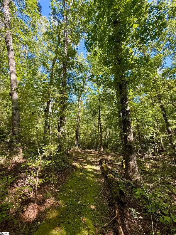 1100 Tugaloo Road, Landrum, SC 29356