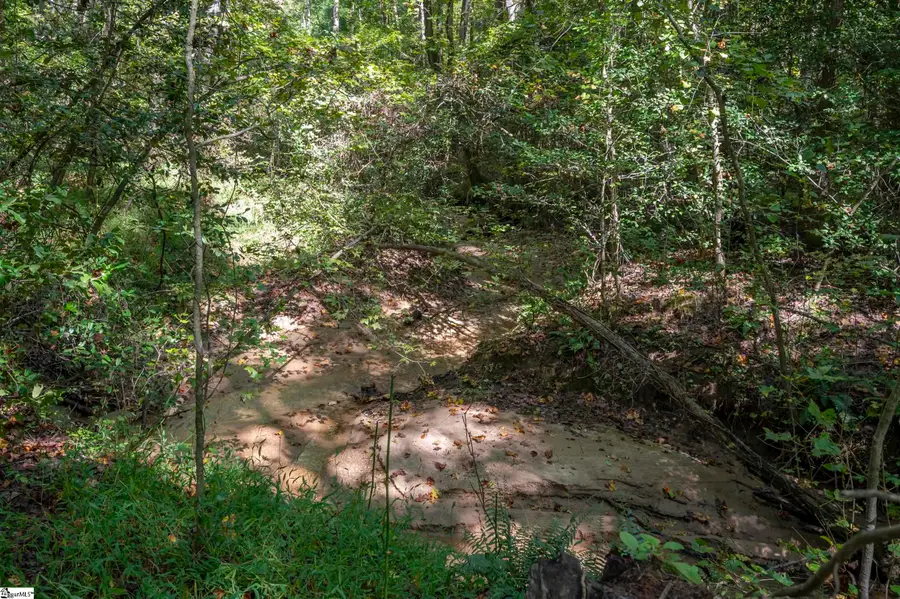 Address Withheld By Seller, Landrum, SC 29345 - #3