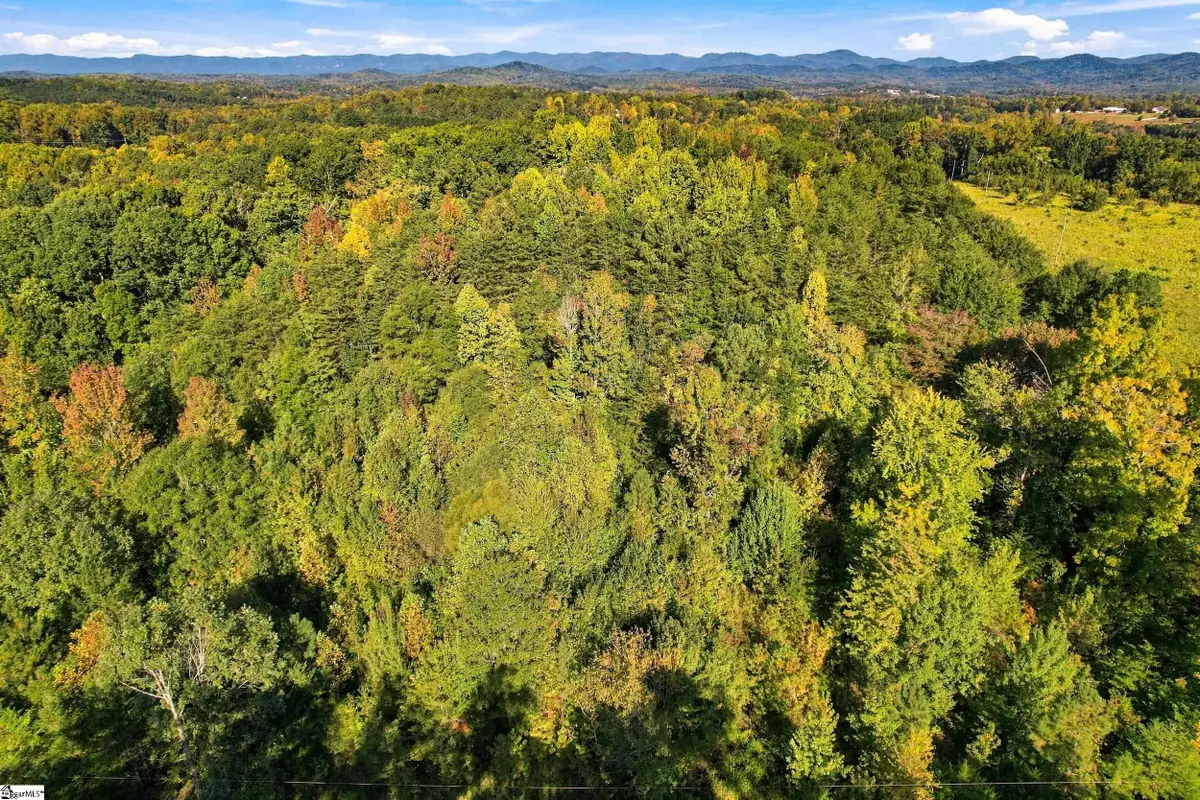 46 Mountain View School Road, Taylors, SC 29687 - #1