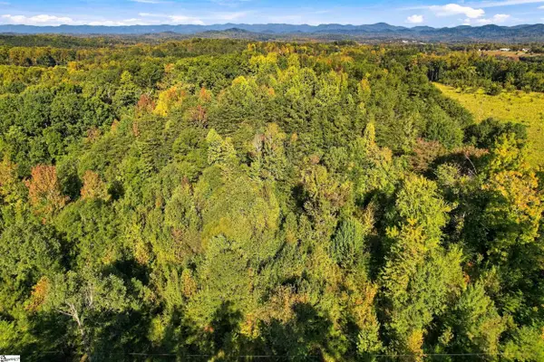 66 Mountain View School Road, Taylors, SC 29687