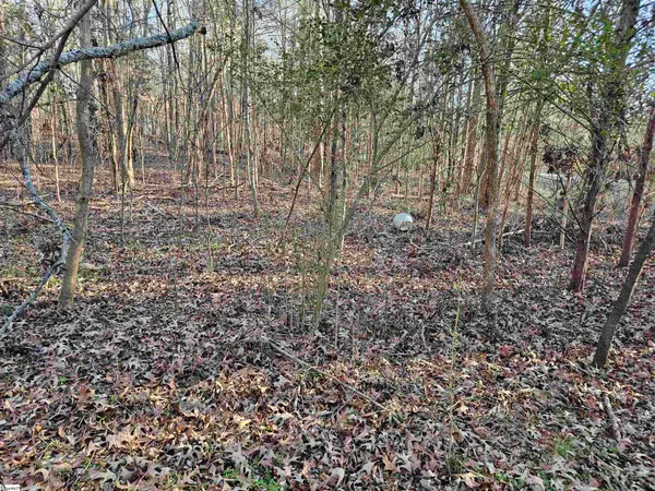 00 Rosemont Circle #Lot 12,13,14, Waterloo, SC 29384