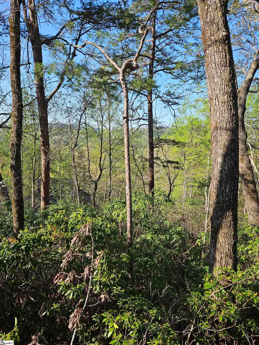 139 Whispering Falls Drive, Pickens, SC 29671 - #3