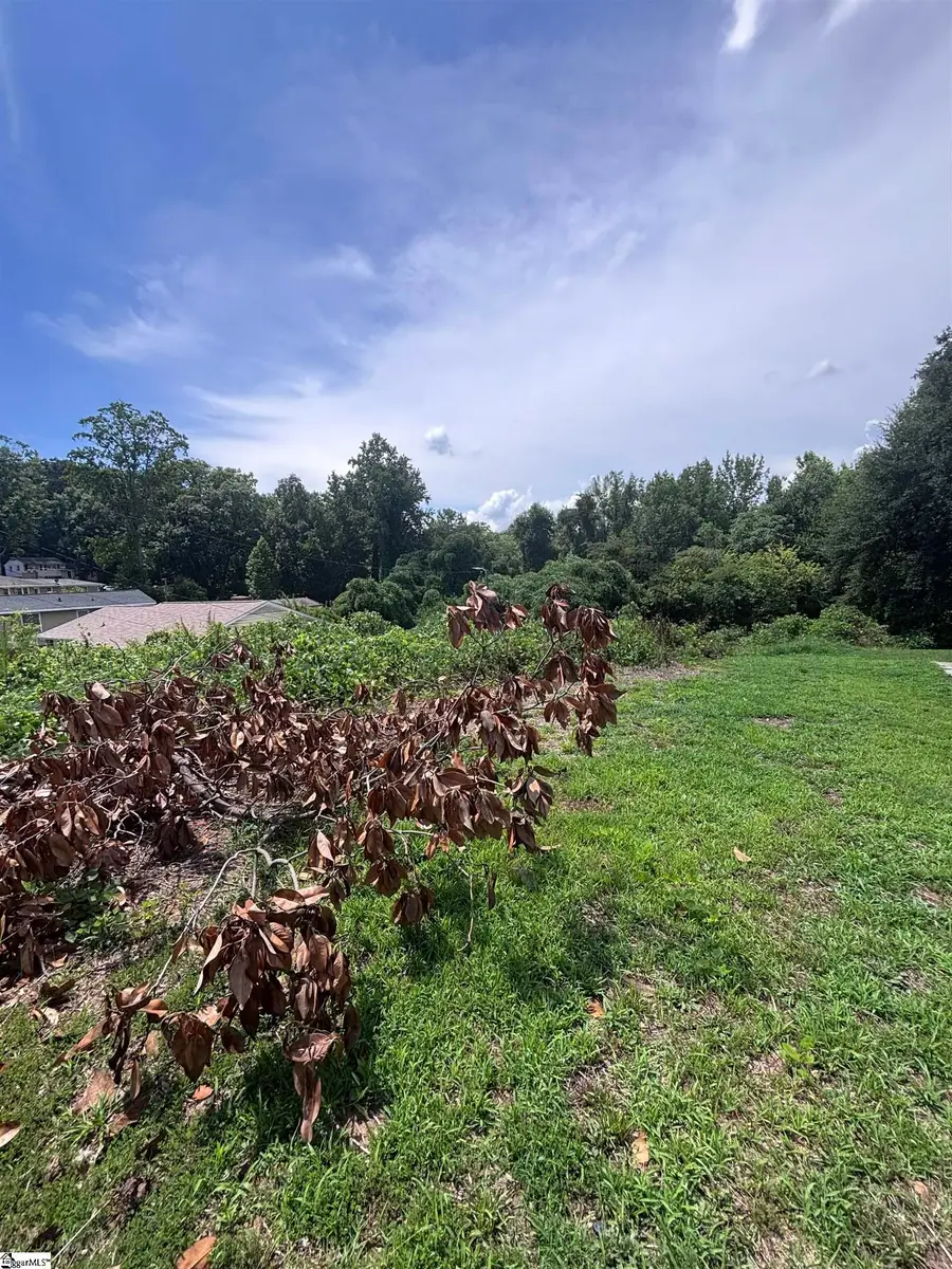 706 Pine Creek Drive, Greenville, SC 29605 - #2