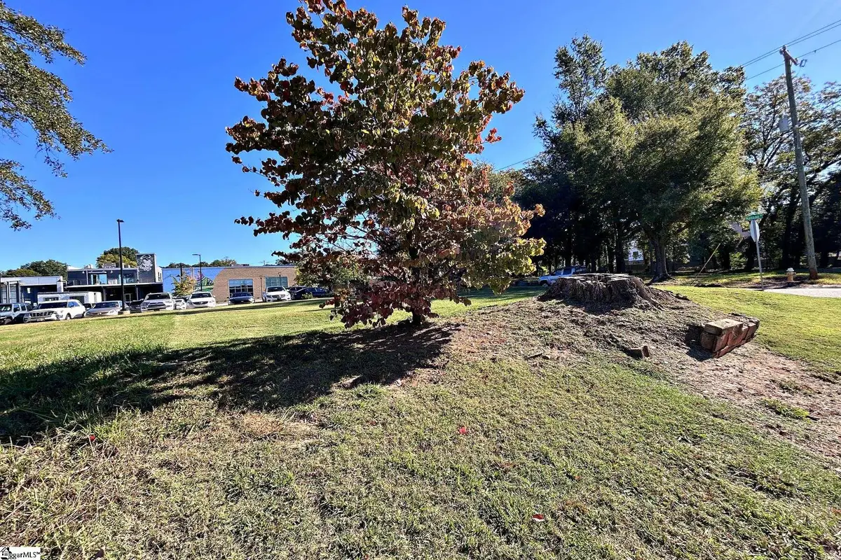 301 Oscar Street, Greenville, SC 29601 - #1