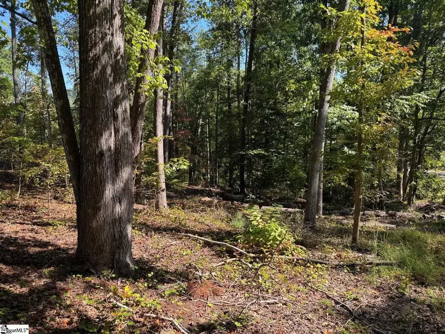 Ivorybill Way, Salem, SC 29676 - #2