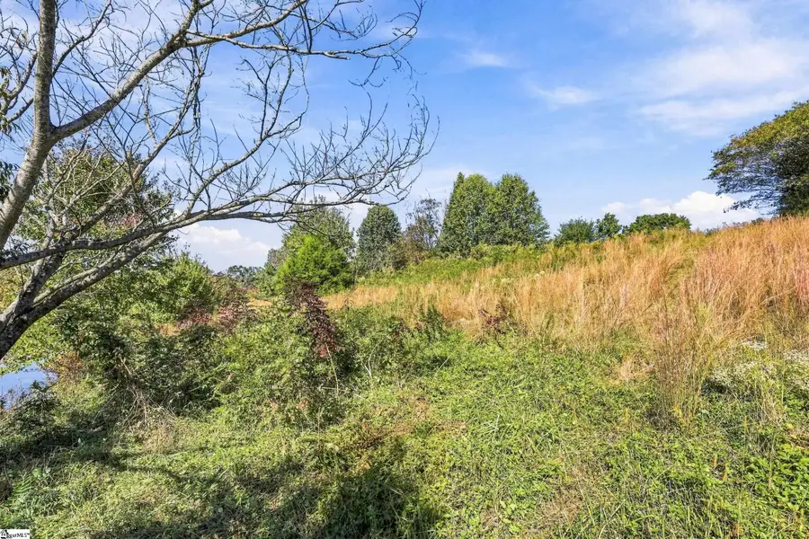 Tract 1c Five Forks Road, Liberty, SC 29657-9189 - #3