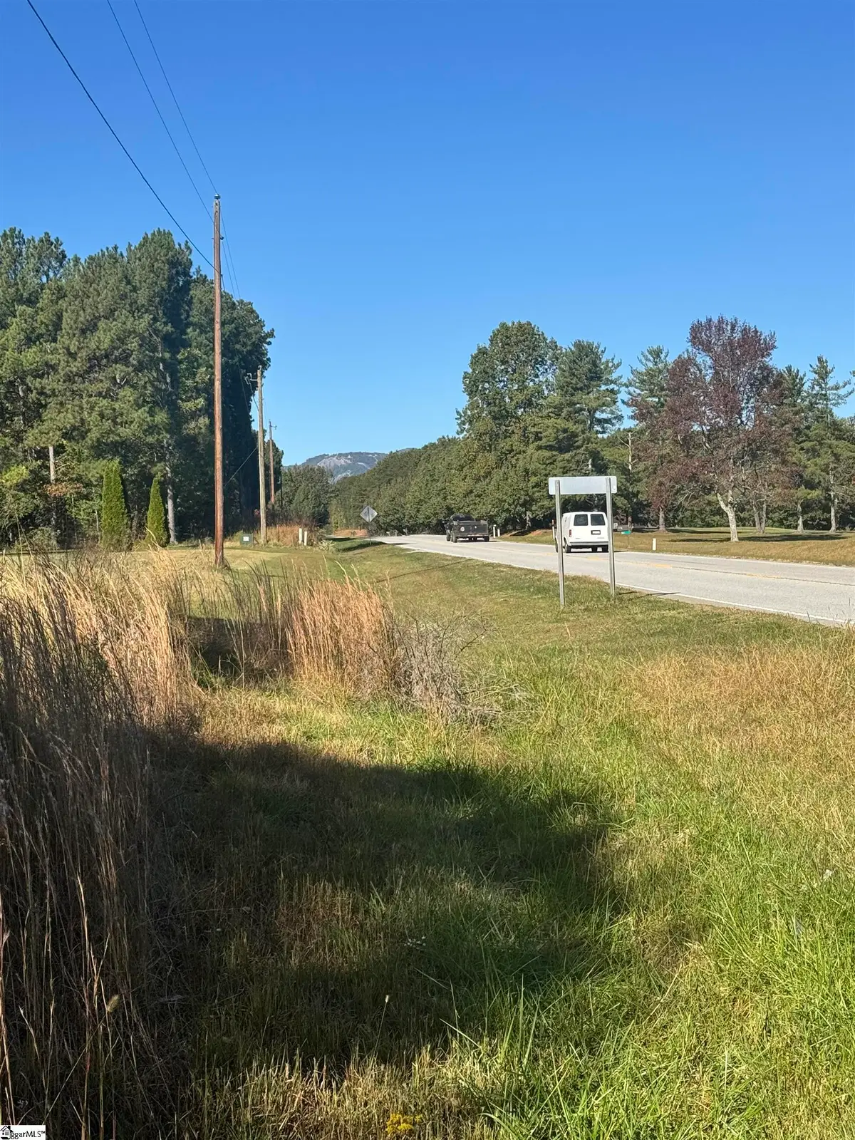 153 Highway 11, Landrum, SC 29356 - #1