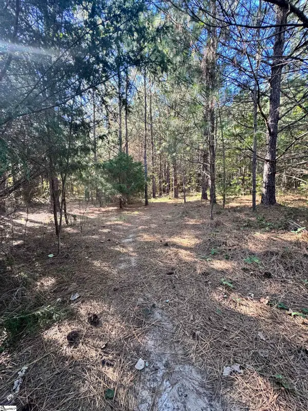153 Highway 11, Landrum, SC 29356