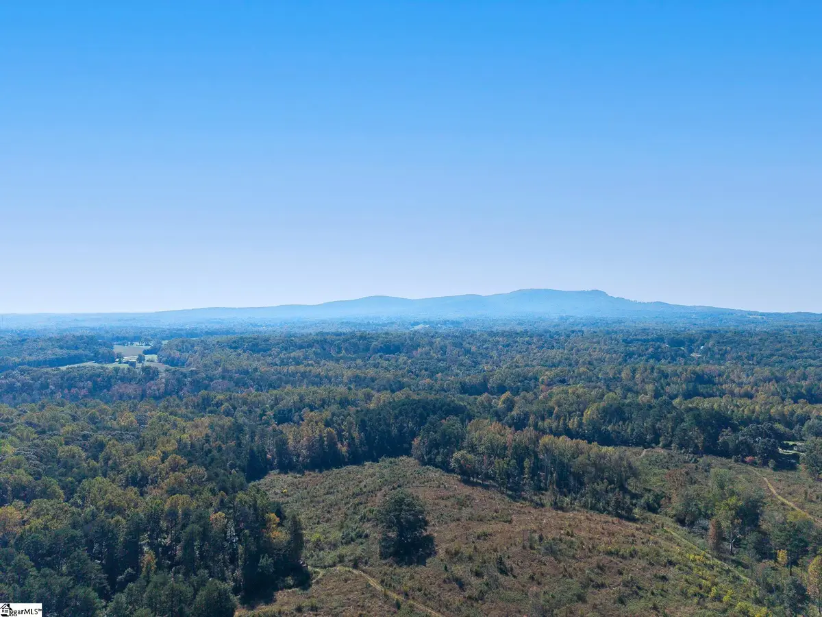 47 Mccauley Road, Travelers Rest, SC 29690 - #1