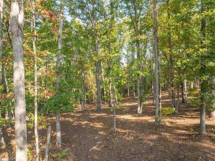0 Woodall Road #Lot C, Greenville, SC 29617 - #3