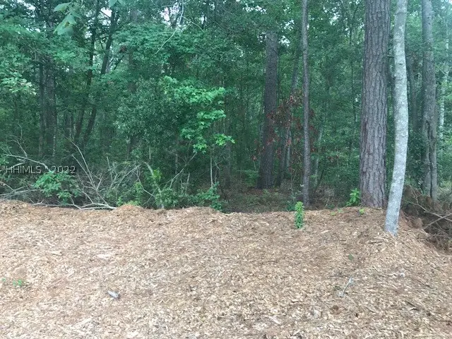 TBD Lost Oaks Drive, Bluffton, SC 29910 - #3