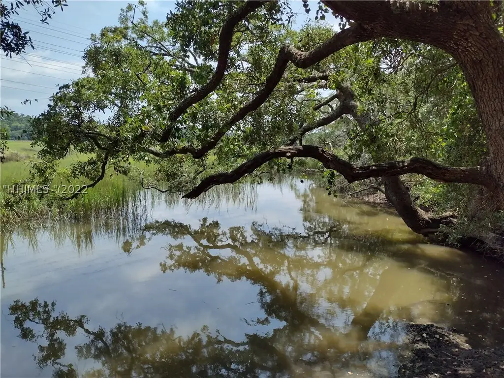 0 Marshland Road, Hilton Head Island, SC 29926 - Image #1