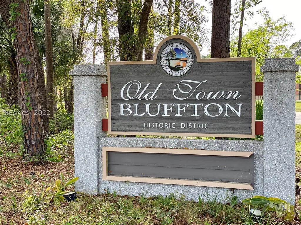 171 Burnt Church Road, Bluffton, SC 29910 - #1