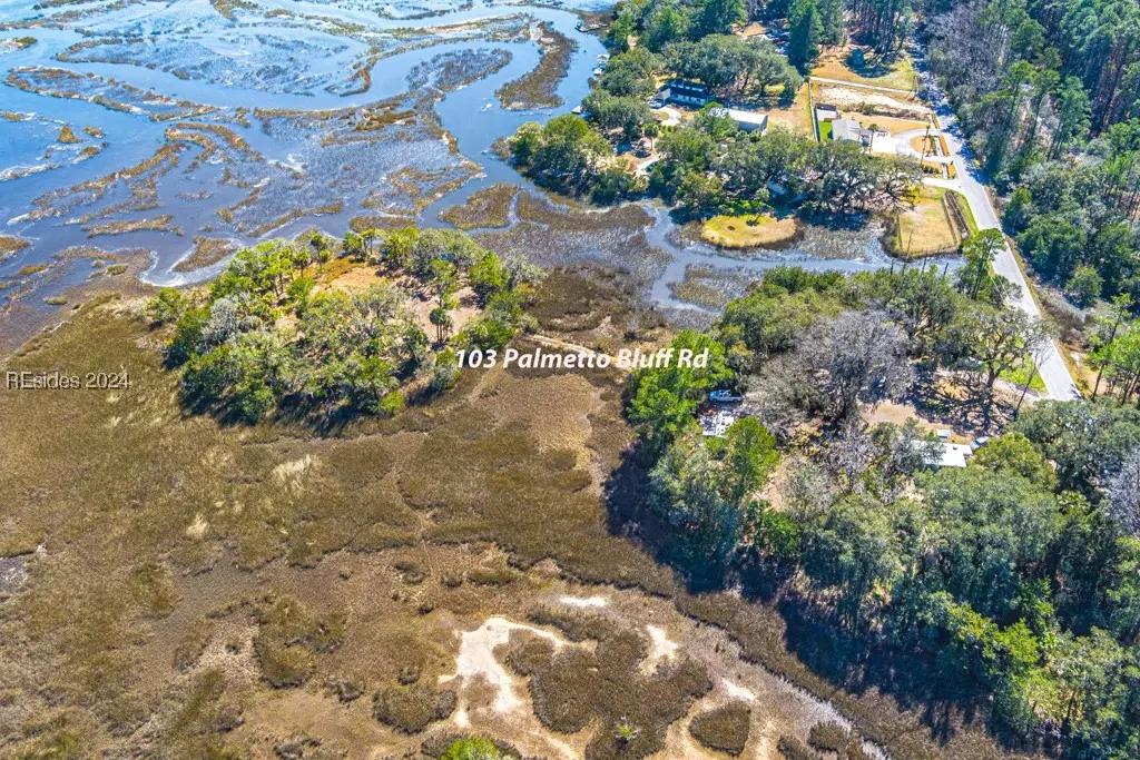 103 Palmetto Bluff Road, Bluffton, SC 29910 - Image #1