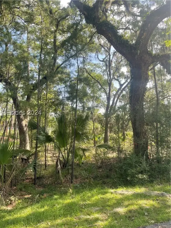 12 Woodstork Landing, Okatie, SC 29909 - #2
