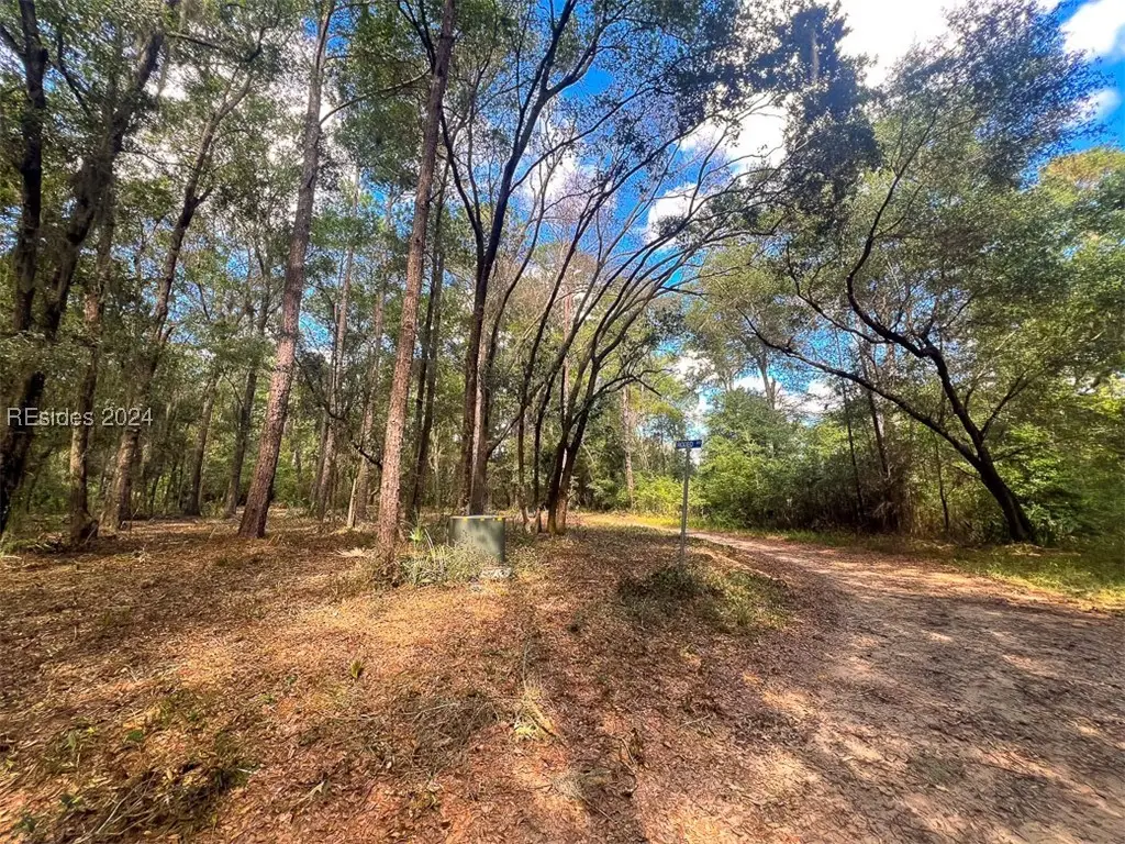 1 Rodeo Drive, Daufuskie Island, SC 29915 - Image #1