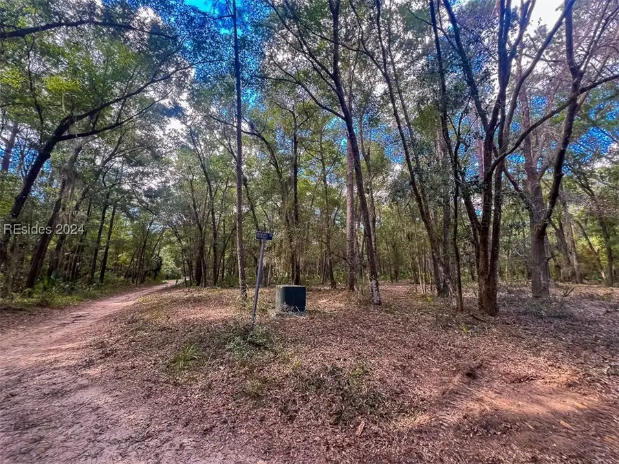 1 Rodeo Drive, Daufuskie Island, SC 29915 - Image #2