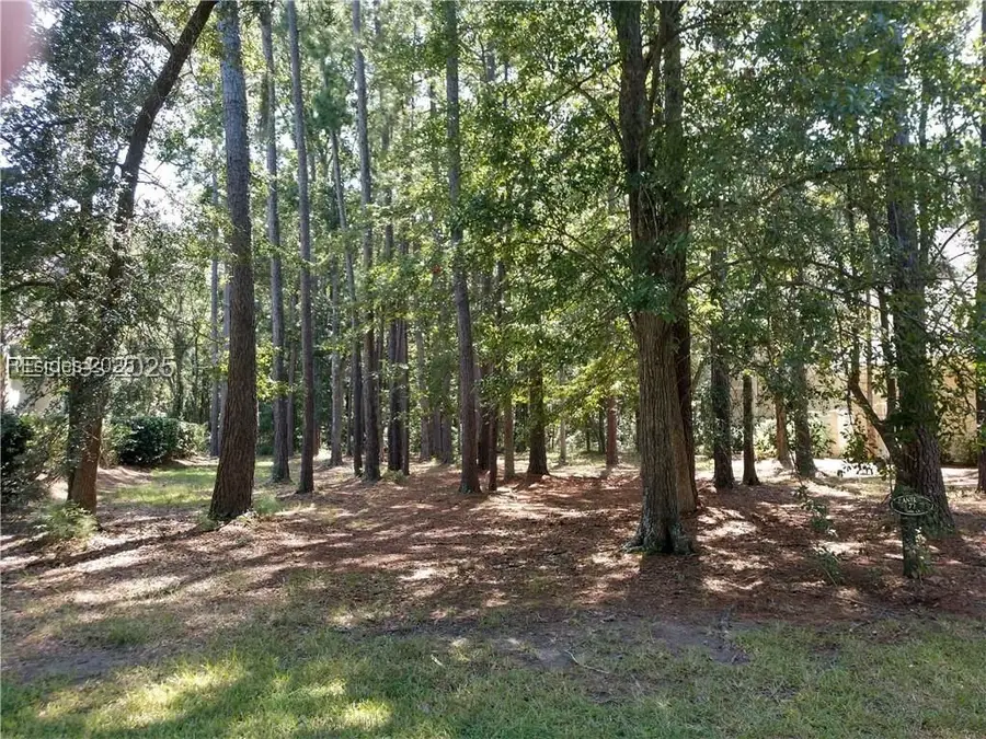 4 Millbrook Circle, Okatie, SC 29909 - Image #3