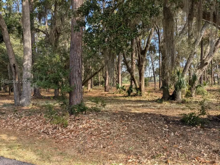 41 River Road, Daufuskie Island, SC 29915 - Image #3
