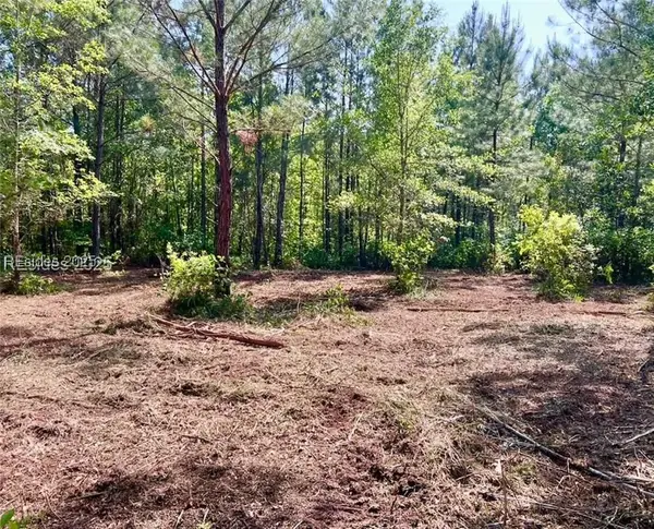 505 Sisters Ferry Road, Ridgeland, SC 29936