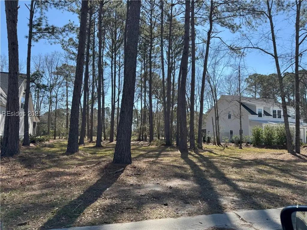 60 Clifton Drive, Okatie, SC 29909 - Image #1