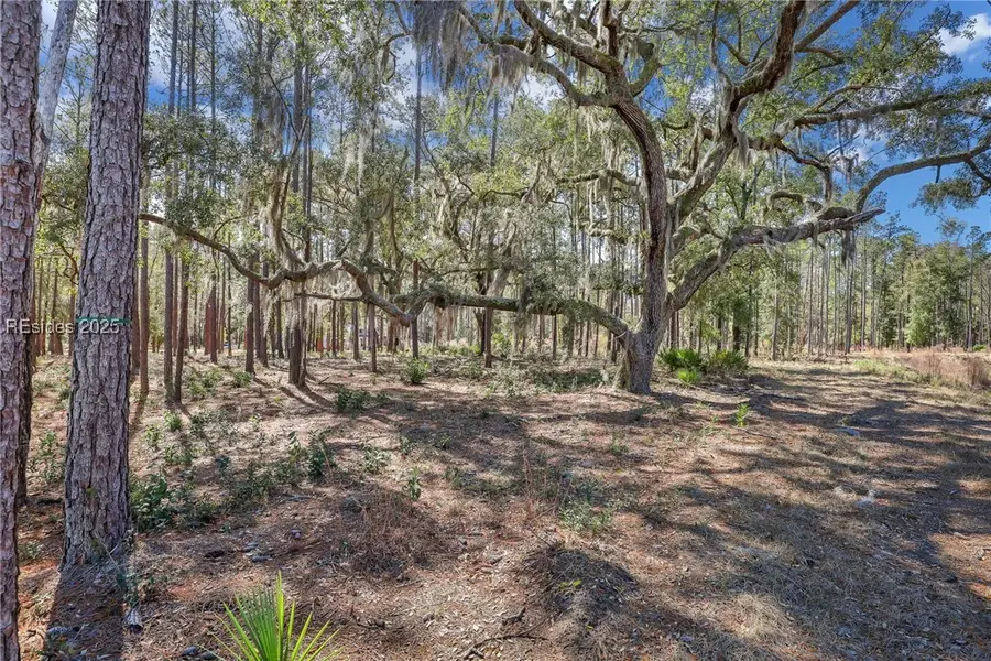 72 Lupine Road, Bluffton, SC 29910 - Image #3
