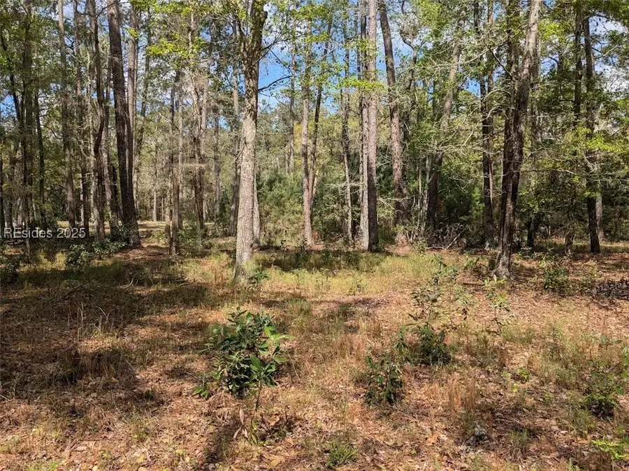 15 Masters Drive, Daufuskie Island, SC 29915 - Image #2