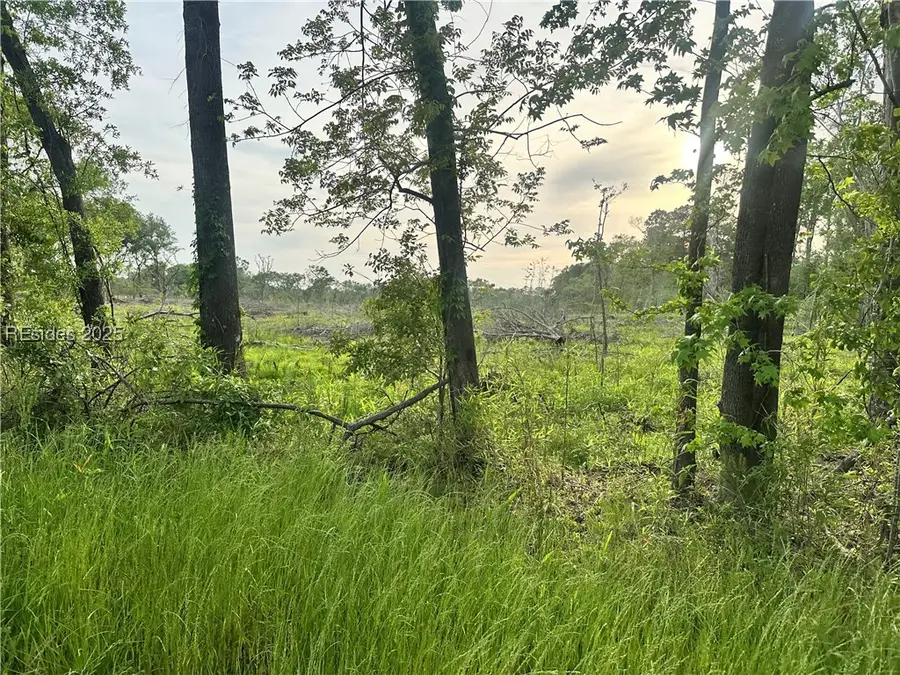 5160 Lowcountry Drive, Ridgeland, SC 29936 - Image #2