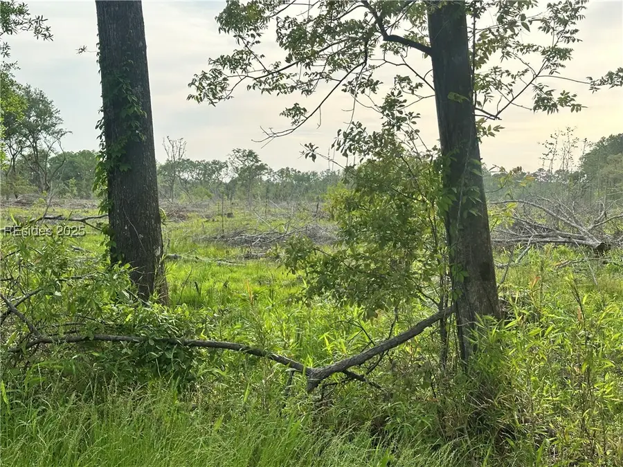 5160 Lowcountry Drive, Ridgeland, SC 29936 - Image #3